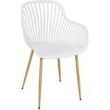 Nexsas STOLICA BELLA | ePonuda.com