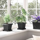  Kvadratna cvetlična posoda 24 pcs Črna 16 x 16 x 14 cm Plastika, (5000207503) | Shoptok.si