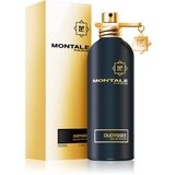 Montale Oudyssee parfumska voda uniseks 100 ml | Shoptok.si