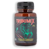  Tribumix 100 tableta 01000122 / 8970 | ePonuda.com
