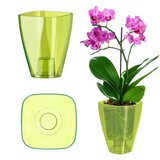 KADAX Cvetlični lonec za orhideje, plastični lonec, zelen, močan, 9 cm, (5000352833) | Shoptok.si