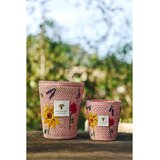 Baobab Collection Vony Kopelika dišeča sveča 1000 g | Shoptok.si