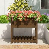  Sadilica s policom boja meda 82,5x82,5x81cm od masivne borovine | shoptok.hr