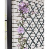 Nature vrtna rešetka 50 x 150 cm PVC antracit | shoptok.hr