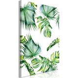  Slika - Jungle Climate (1 Part) Vertical 60x90 Cijene