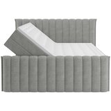 Premium Living Postelja Boxspring Lina, Siva, 200x200 | Shoptok.si