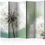 Paravan Two Dandelions I, 5-Delni, Dvostranski