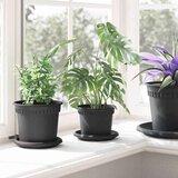  Okrugla saksija za cveće 24 pcs Crna Ø 12 5 x 10 cm Plastika - Crna Ø 12 5 x 10 cm 24 | shoptok.hr