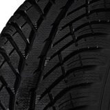 Cooper Discoverer Winter ( 205/55 R17 95V XL ) Cene