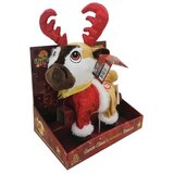 MILENIJUM PLISANI IRVAS DANCER | Eponuda.com