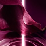 Christian Dior capture Totale C.E.L.L. Energy Super Potent serum za područje oko očiju protiv znakova umora i starenja 20 ml za žene | shoptok.hr