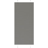vidaXL Plisirana roleta antracit 100x200 cm širina tkanine 99,4 cm | shoptok.hr