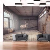  Tapeta - Lost 450x280 Cijene