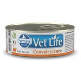 Farmina vet life veterinarska dijeta cat convalescence konzerva 85gr Cene