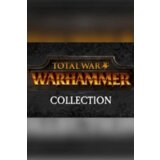 Steam Total War: WARHAMMER | Collection Key (PC) GLOBAL | ePonuda.com