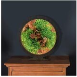  Li-Go 23654 - LED prigušiva stona dekoracija LED/12W/230V 20x22 cm mahovina | Eponuda.com
