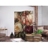  Paravan - Blooming Peonies - Charismatic Flowers Bathed in Sunlight 135x172 | shoptok.hr