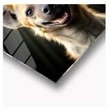 WALLXPERT dekorativna slika wildness 25 x 25