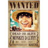 Grupo PLAKAT EN PIECE NETFLIX - WANTED MONKEY D. LUFFY, (20837280) | Shoptok.si
