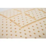 hevea jastuk sole 65x40x12,5