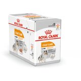Royal_Canin Adult Coat Care - pašteta 12 x 85 g | Shoptok.si