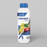  Savanur 1 lit | ePonuda.com