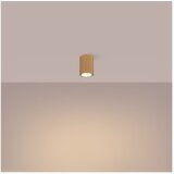 Nice Lamps Stropna svetilka v zlati barvi Gleam – | Shoptok.si
