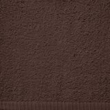 Catherine Lansfield Rjava hitro sušeča frotirna bombažna brisača 50x85 cm Quick Dry – | Shoptok.si
