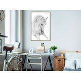  Poster - Beauty in Motion 20x30 | shoptok.hr