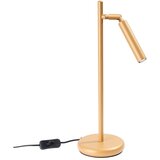 Nice Lamps Stolna lampa u zlatnoj boji (visina 43 cm) Fideus – | shoptok.hr