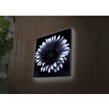 Wallity Slika sa LED osvetljenjem 4040DACT-33, 40x40 cm | ePonuda.com