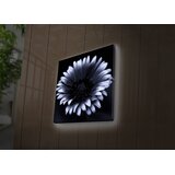 Wallity Zidna slika sa LED osvetljenjem 4040DACT-33, 40x40 cm | Eponuda.ba