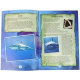 Ammonite Shark Excavation Educational Kit | Shoptok.si