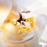 Dior J'adore Parfum d’Eau parfemska voda bez alkohola za žene 30 ml | shoptok.hr