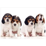  Tapeta - Sad Puppies 250x175 | shoptok.hr