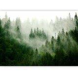  Foto tapeta - Mountain Forest (Green) 200x140 Premium | shoptok.hr