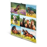 Herma mapa s klapo in elastiko Horse Meadow, A4 | Shoptok.si