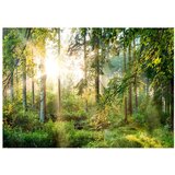  Samoljepljiva foto tapeta - Untamed Nature 441x315 | shoptok.hr