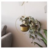 WALLXPERT decorative pot zlatna saksija payanda gold | ePonuda.com