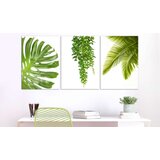 Slika - Beautiful Palm Trees (3 Parts) 120x60 | shoptok.hr