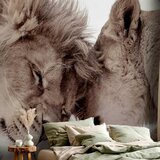 Artgeist Foto tapeta - Lion Tenderness (Sepia) 200x140 Standard | shoptok.hr