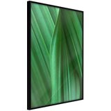  Poster - Leaf Structure 30x45 Cijene