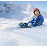 Gizmo Riders Sanke Gizmo Tron Bobsled | ePonuda.com