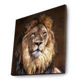 Wallity 4040İACT-20 multicolor decorative led lighted canvas painting | Eponuda.com