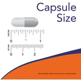 Now Foods gaba sa vitaminom B-6 – opuštanje i zdravlje nervnog sistema 100 kapsula | ePonuda.com