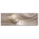  Slika - Delicate Feather 150x50 | shoptok.hr