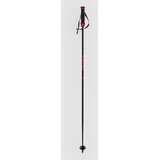 Völkl Phantastick Carbon Poles 2025 Ski Poles uni | Shoptok.si