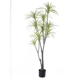 dekorativna dracena 170cm 567296