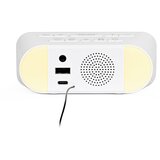 Silva Silvia Schneider UR 4200 BT bela PLL UKW radioura. | Shoptok.si