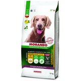 Morando Grain Free Adult govedina 15 kg Cene
